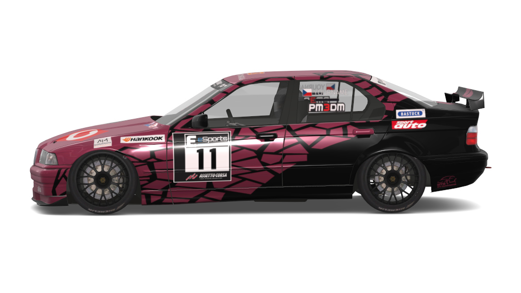 BMW 320i STW-BTCC, skin swan
