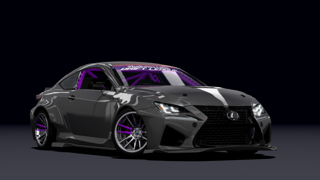 SRDL Pro Lexus RCF, skin 8_grey