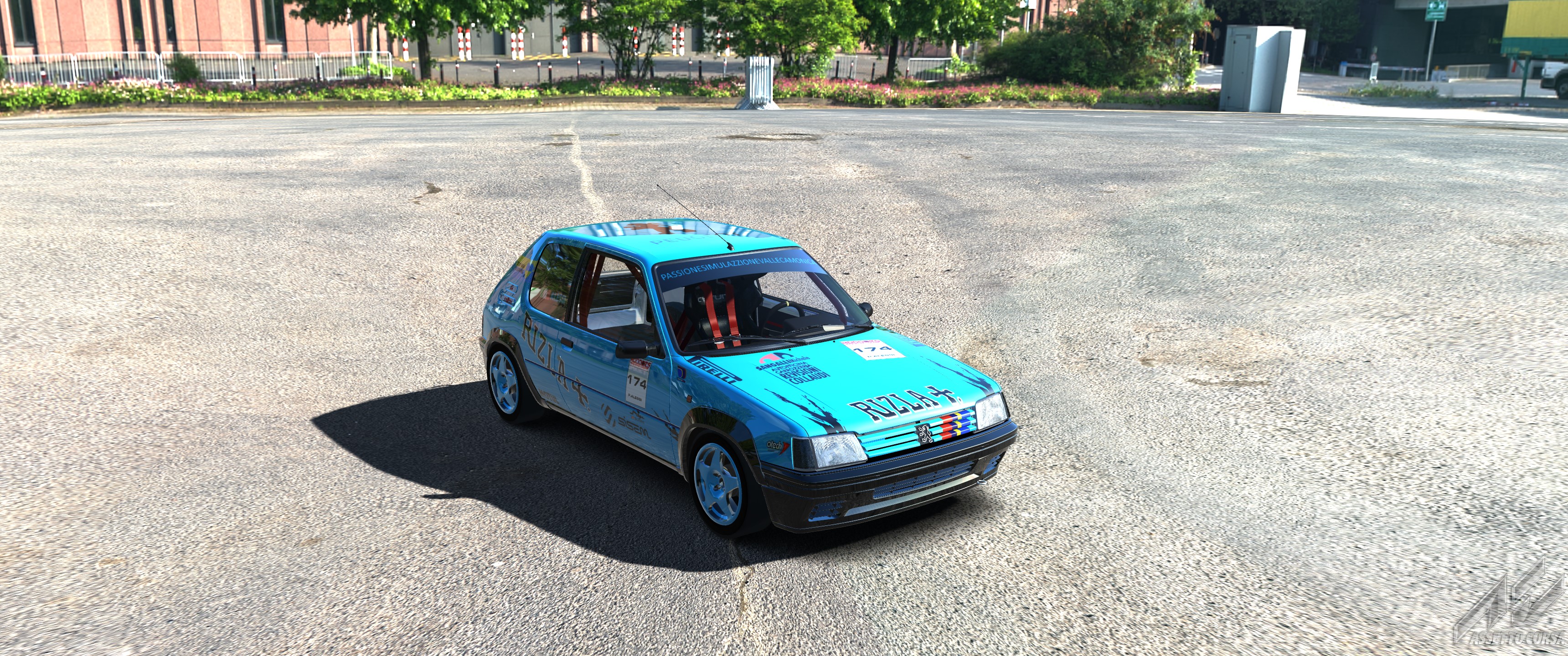 MSC Peugeot 205 Rallye GR.A, skin 174