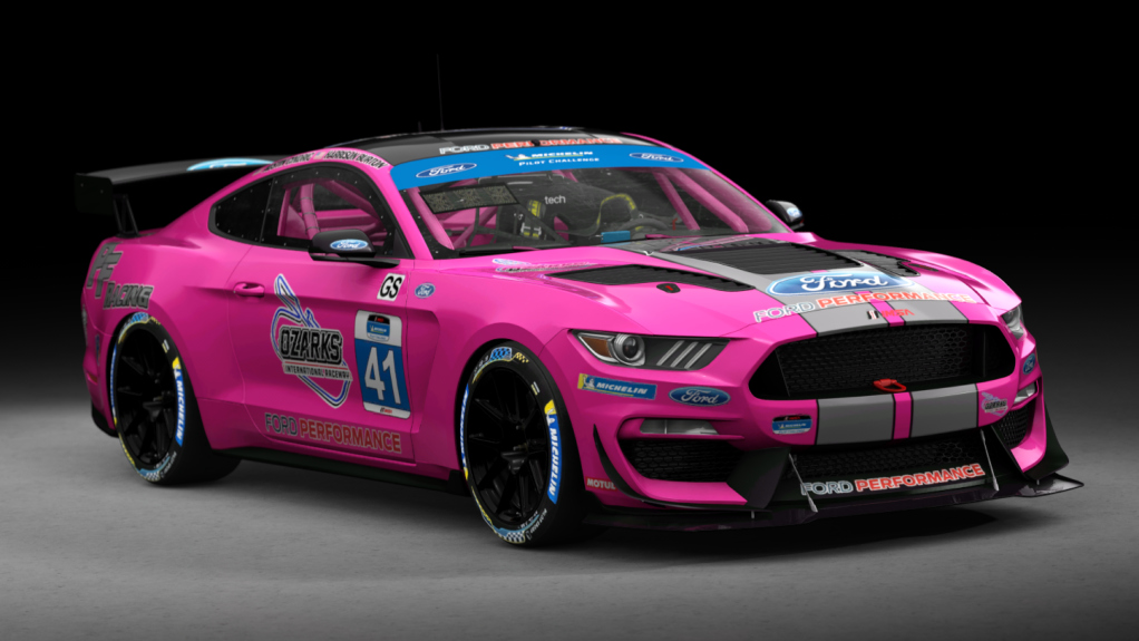 Ford Mustang GT4, skin 2022_PF_Racing_41