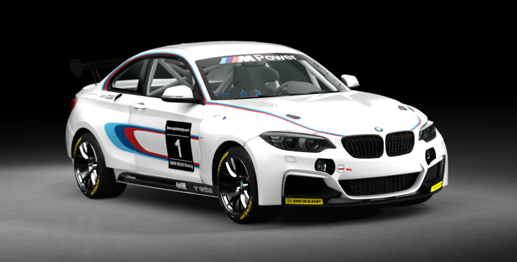 BMW M240i Cup, skin 00_racing_1