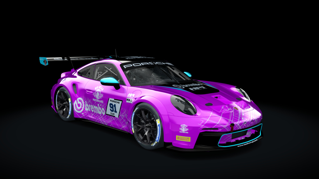 Porsche 911 GT3 Cup 992, skin WB 91 - Alex Leonhardt