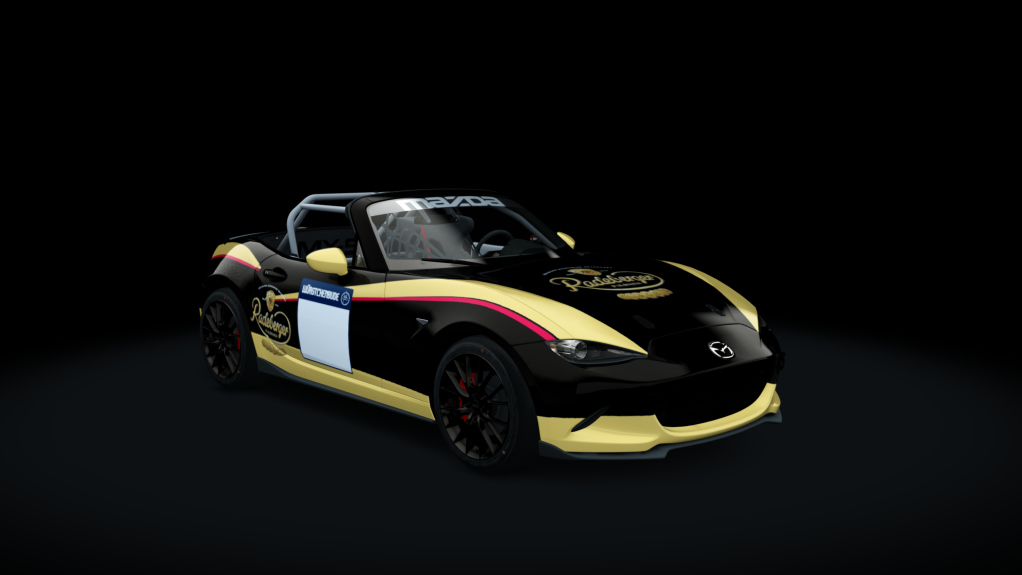 Mazda MX5 Cup, skin 31_cup_WB_Radeberger