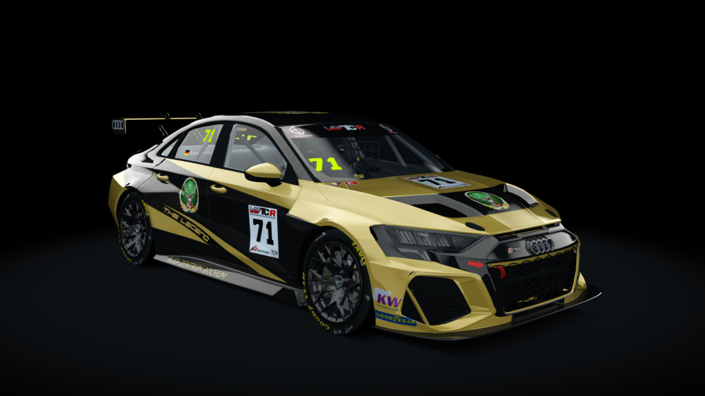 Audi RS3 LMS TCR (2021), skin WB 71 - Dirk K