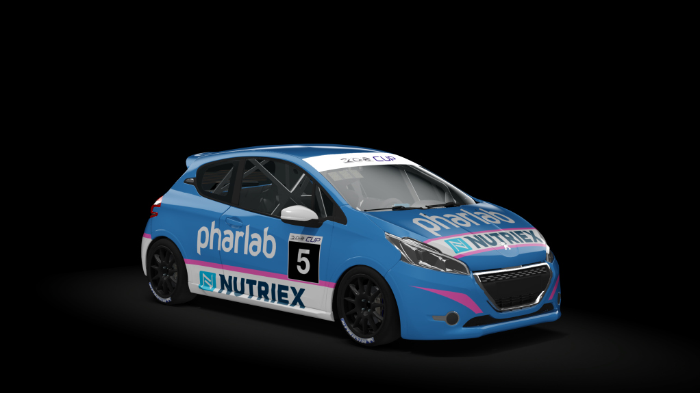 Peugeot 208 Cup, skin 05